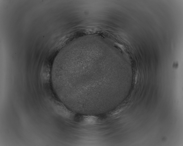 X0000090720226200708031508