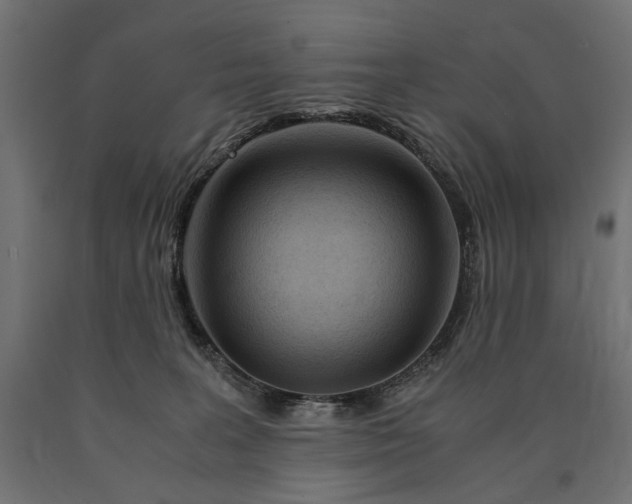 X0000090720227200708031508
