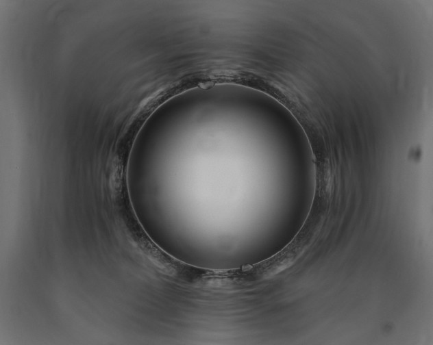 X0000090720228200708031508