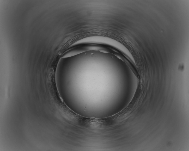 X0000090720229200708031508