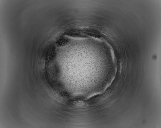 X0000090720230200708031508