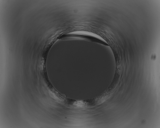 X0000090720231200708031508