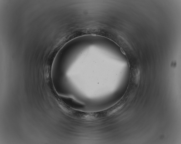 X0000090720232200708031508