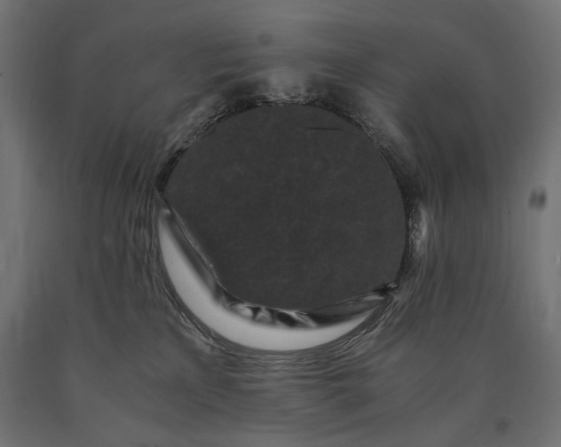 X0000090720233200708031508