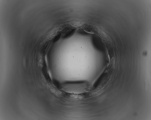 X0000090720234200708031508