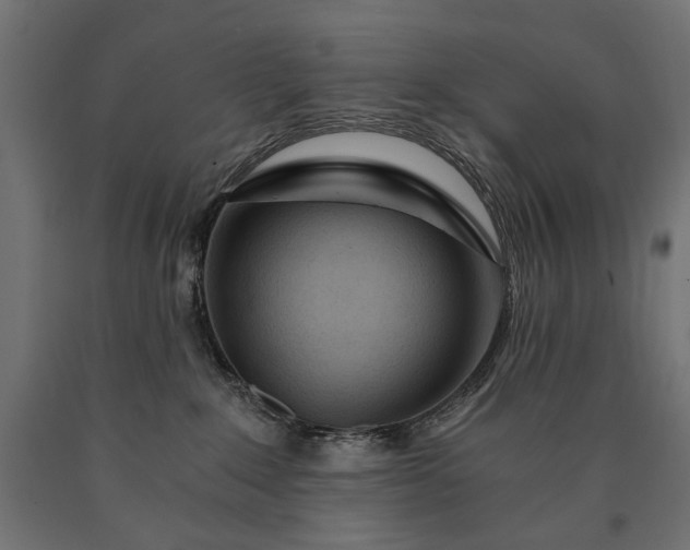 X0000090720235200708031508