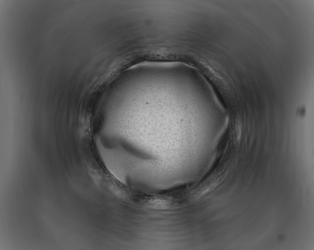 X0000090720236200708031508
