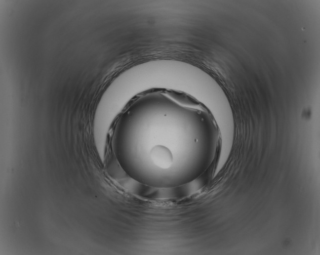 X0000090720237200708031508