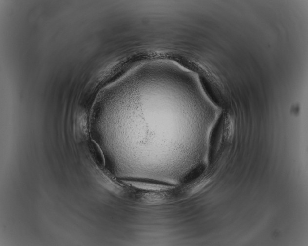 X0000090720238200708031508