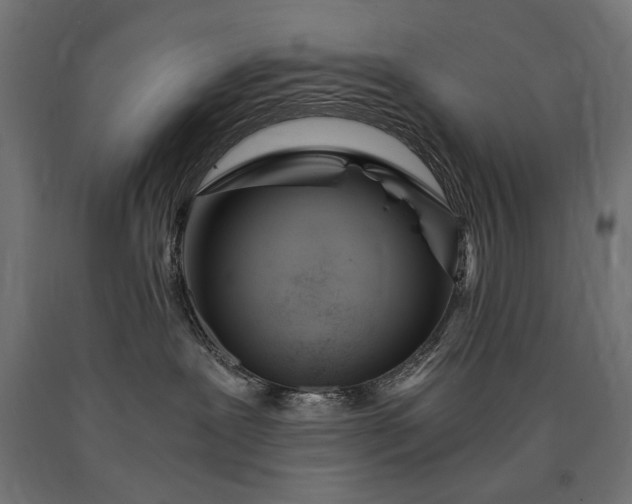 X0000090720239200708031508
