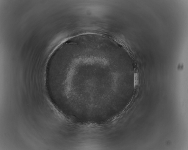 X0000090720243200708031507