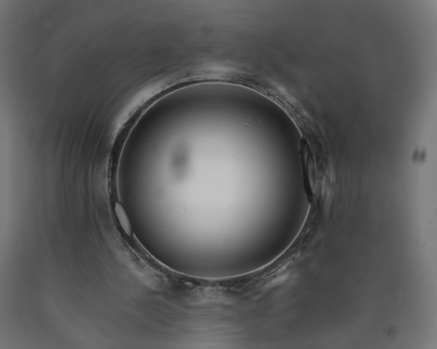 X0000090720244200708031507