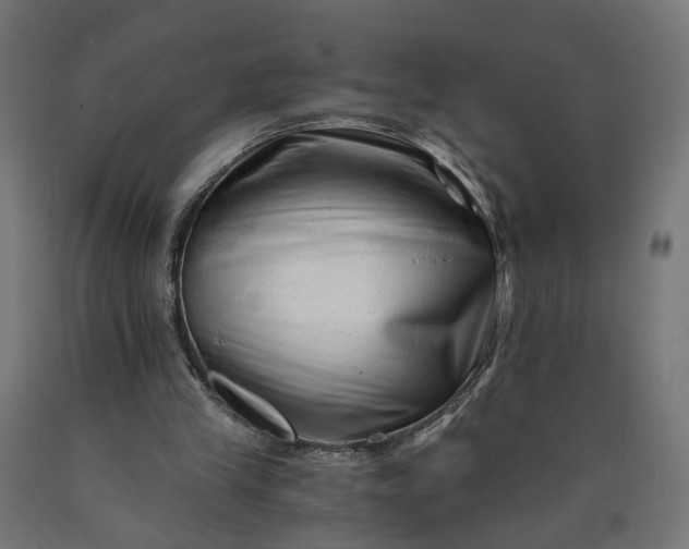X0000090720245200708031507