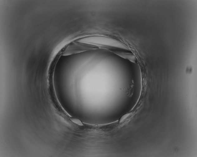 X0000090720246200708031507