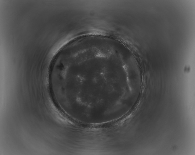 X0000090720247200708031507