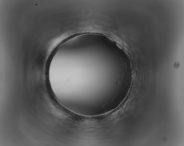 X0000090720248200708031507