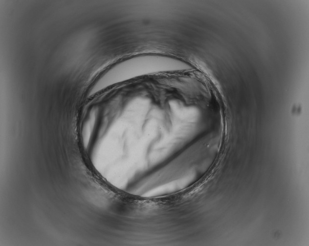 X0000090720249200708031507