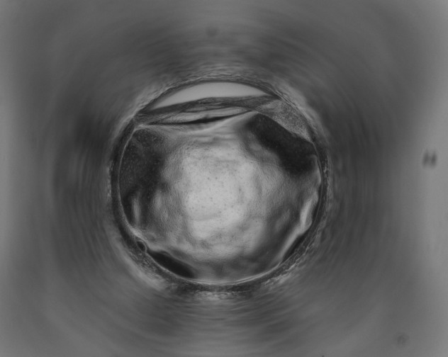 X0000090720250200708031507