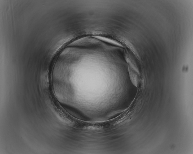 X0000090720251200708031507