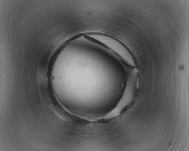 X0000090720252200708031507