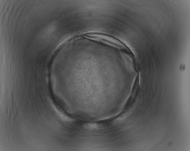 X0000090720253200708031507
