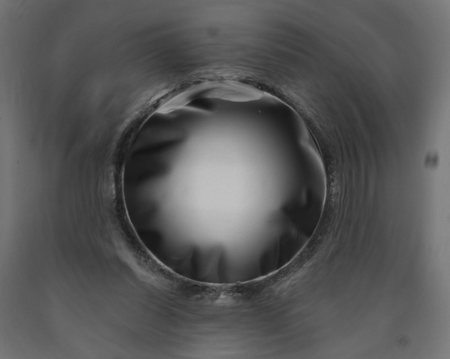 X0000090720254200708031507