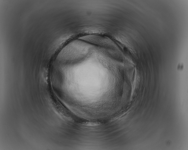 X0000090720255200708031507