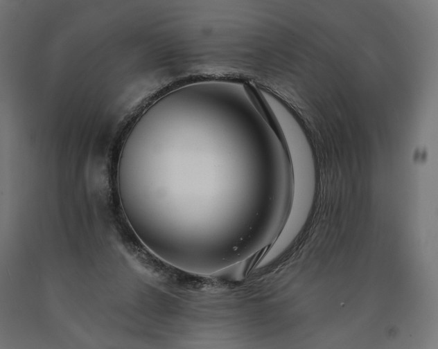 X0000090720256200708031507