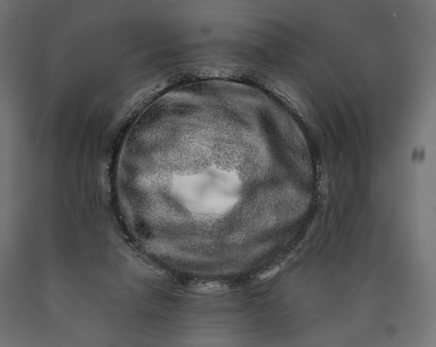 X0000090720258200708031507