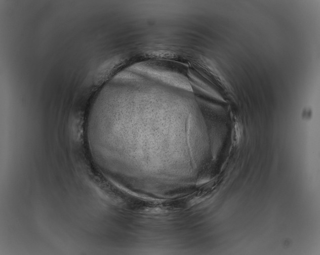 X0000090720259200708031507