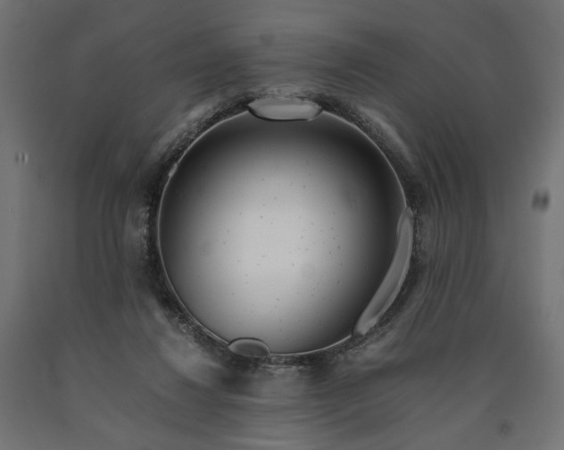 X0000090720260200708031507