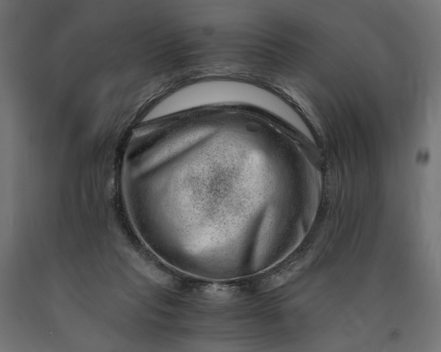 X0000090720261200708031507