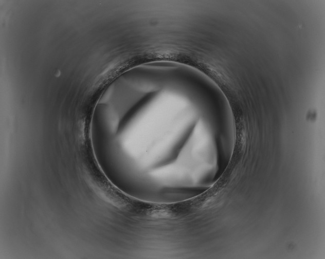 X0000090720262200708031507