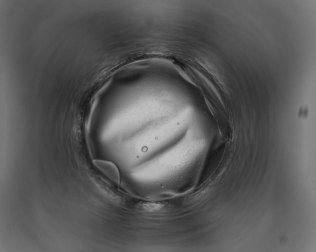 X0000090720265200708031507