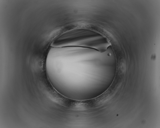 X0000090720268200708031507
