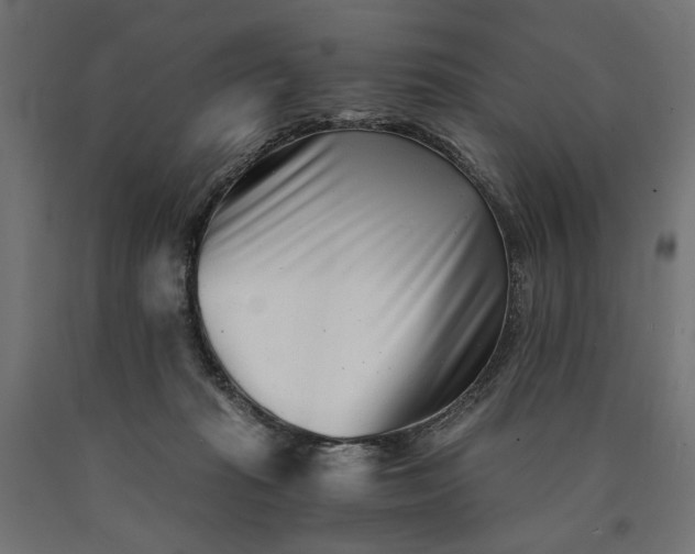 X0000090720269200708031507