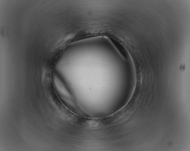 X0000090720272200708031507