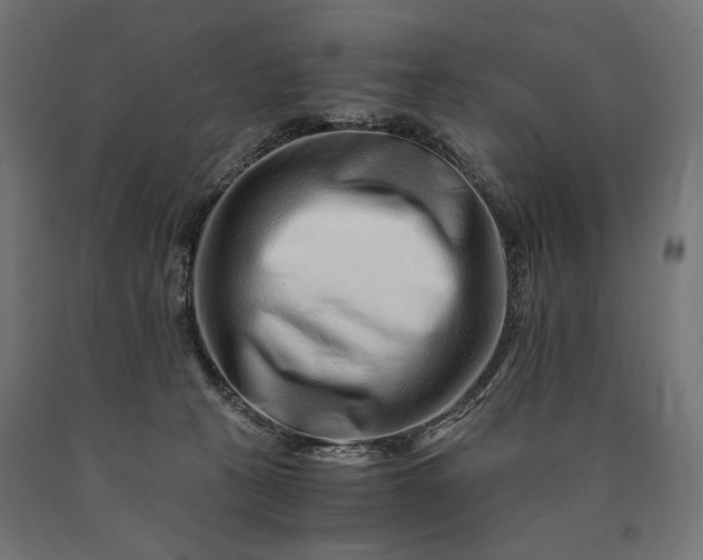 X0000090720273200708031507