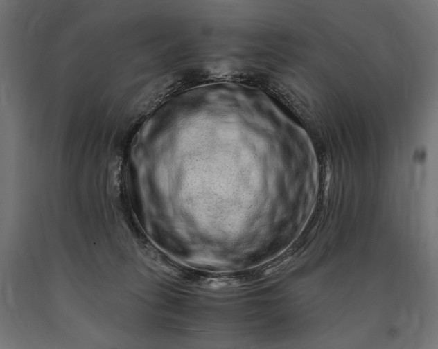 X0000090720275200708031507