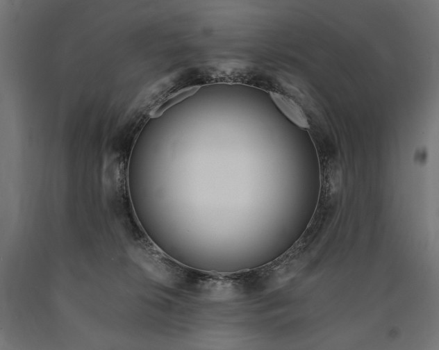 X0000090720276200708031507