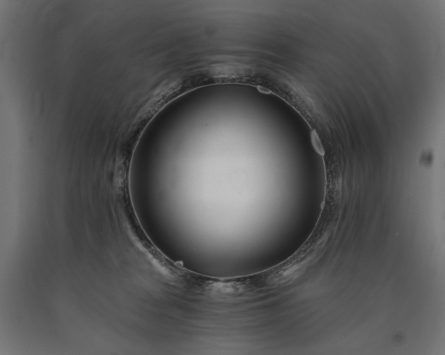 X0000090720277200708031507