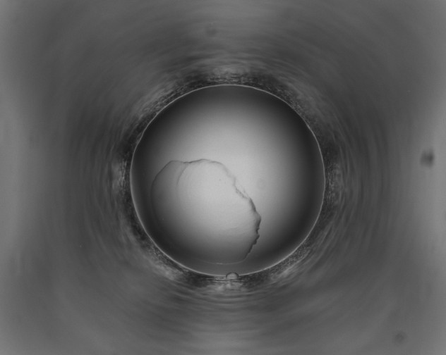 X0000090720278200708031507