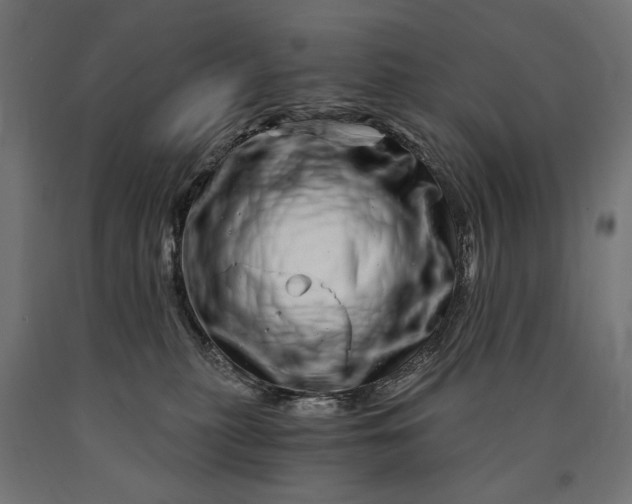 X0000090720279200708031507