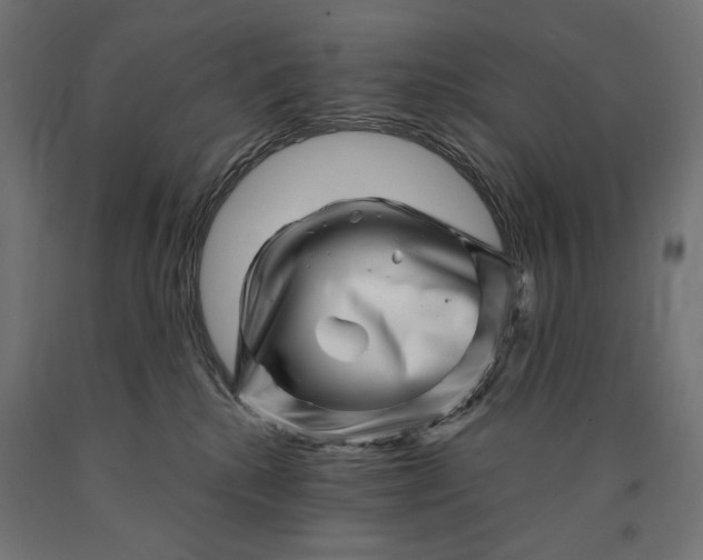 X0000090720280200708031507