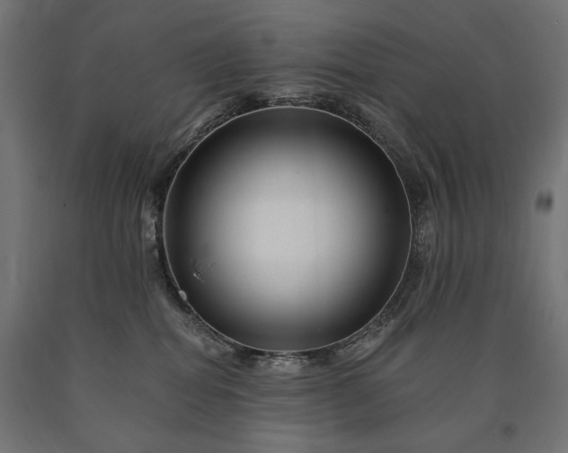 X0000090720282200708031508
