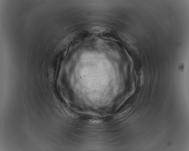X0000090720283200708031508