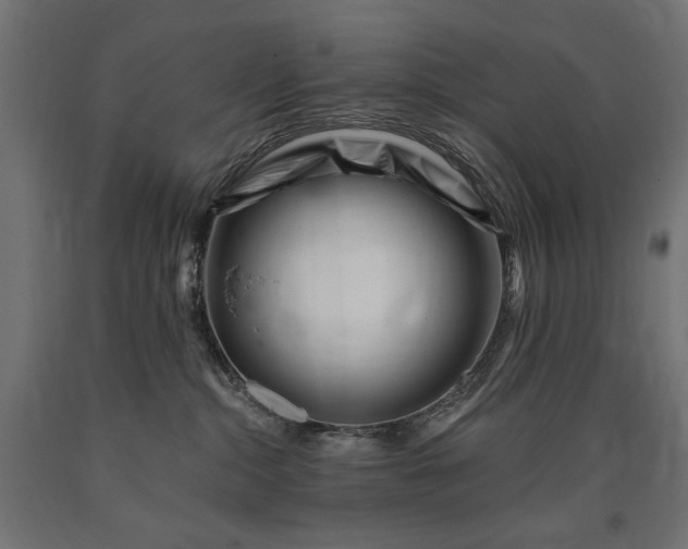 X0000090720284200708031508