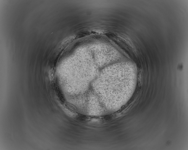 X0000090720285200708031508