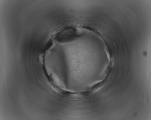 X0000090720286200708031508