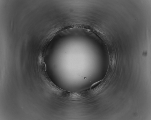 X0000090720287200708031508